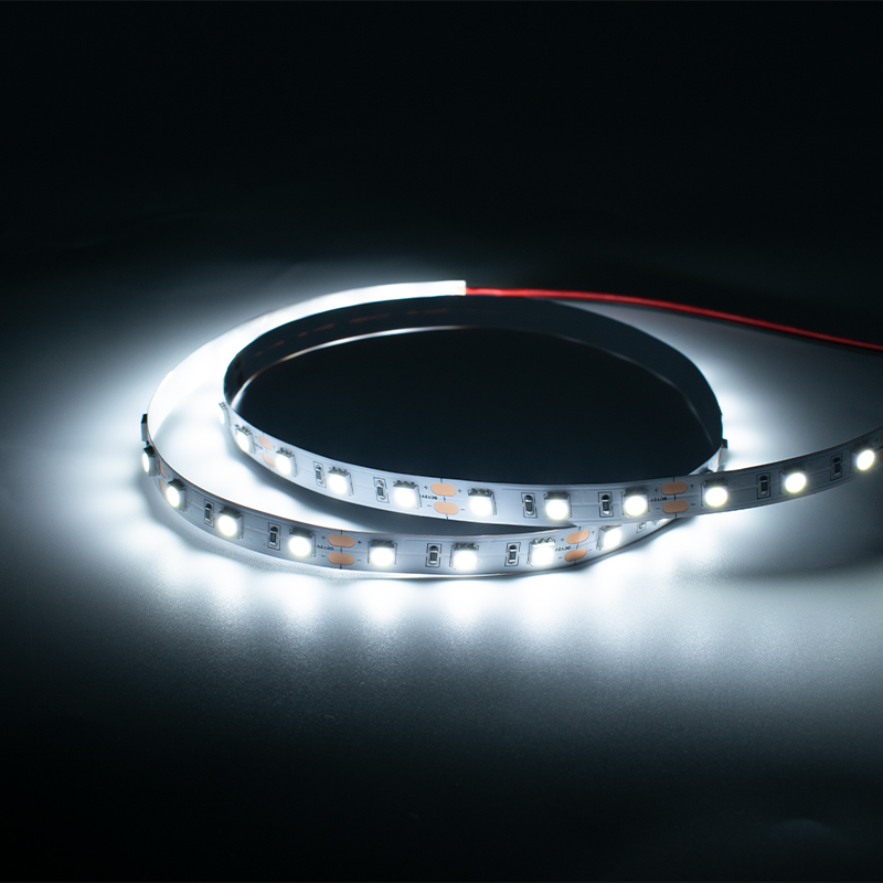 5050 Single Color 60LED/m IP65 5050 Single Color 60LED/m IP65