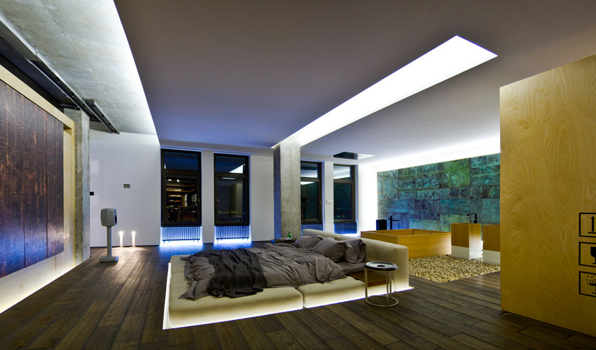 Dual Color LED Strip Lights